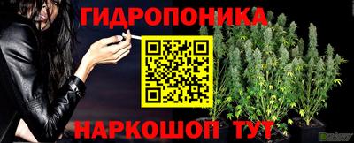прущая мука Заводоуковск