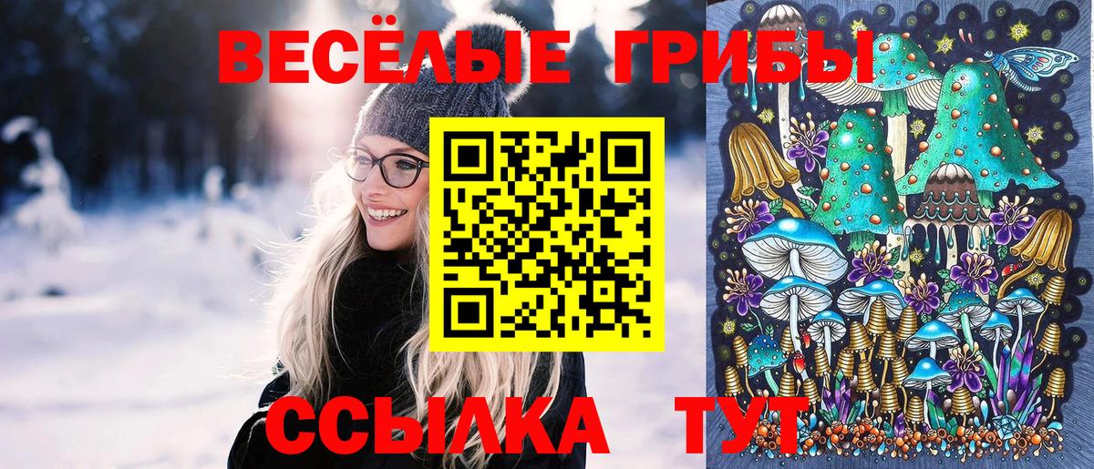 Галлюциногенные грибы Psilocybine cubensis  Вход с VPN  Курчалой 